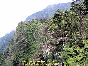 Emeishan 145